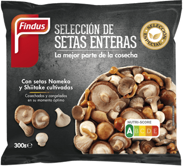 Selección setas enteras Findus