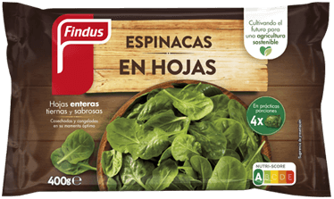 Espinacas en hojas Findus