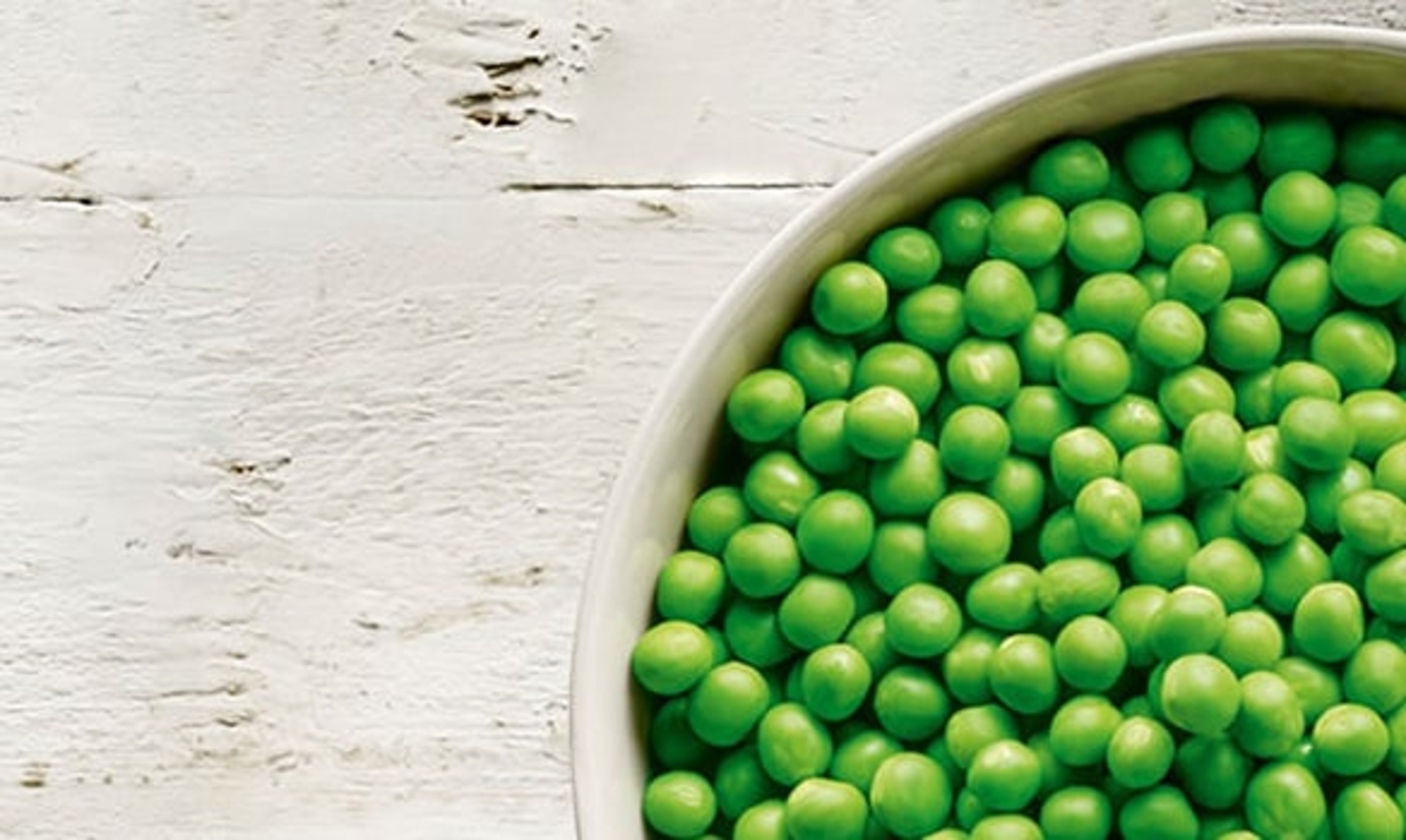 ¿Qué es la proteína vegetal?