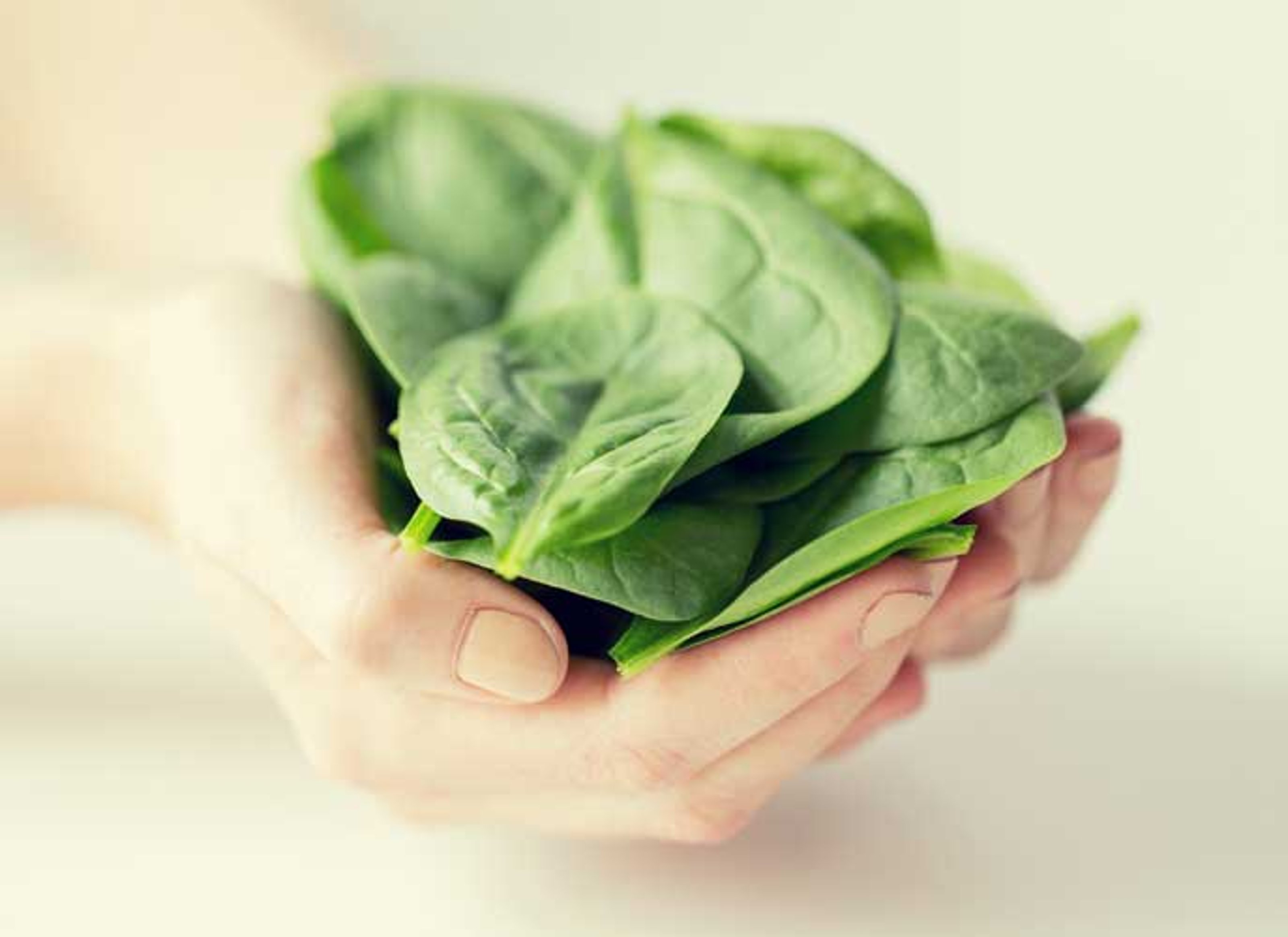 Las vitaminas en las espinacas
