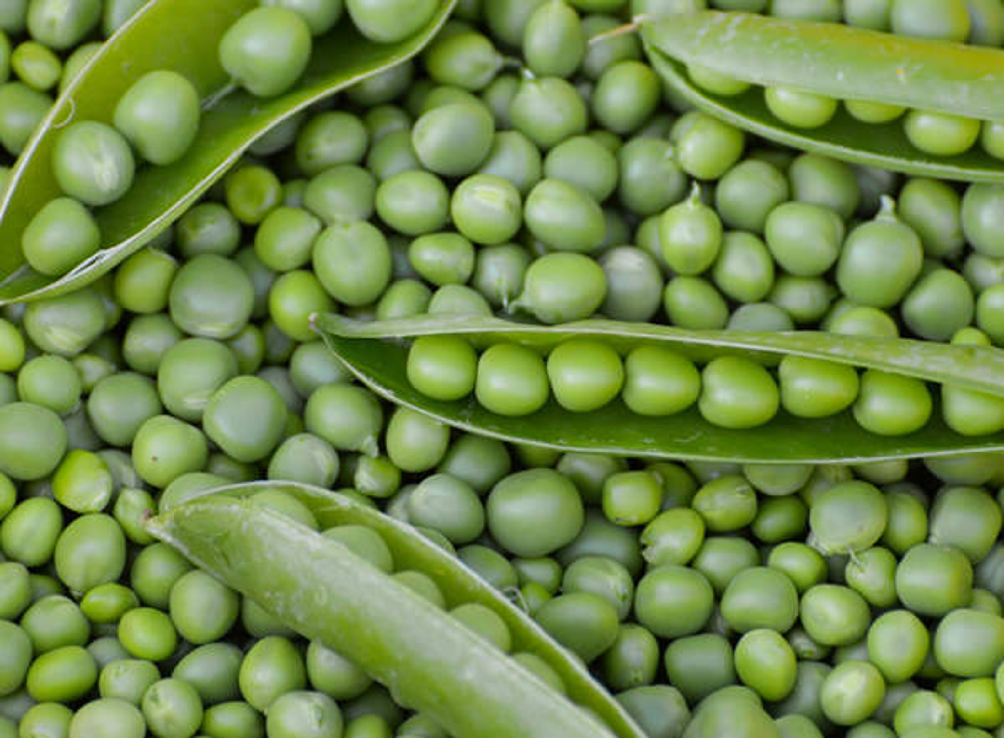 Proteínas